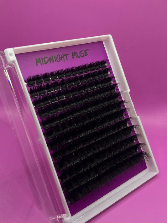 Midnight Muse (Clusters)